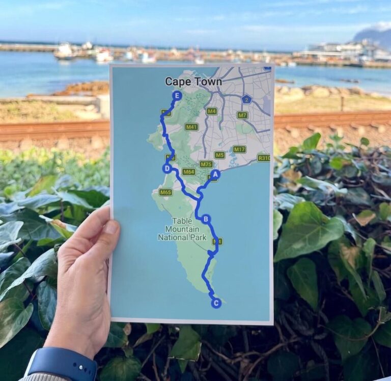 The Perfect 1 Day Cape Town Itinerary